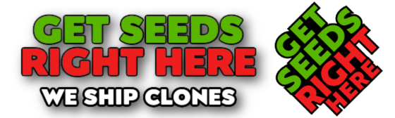 Get Galactic Warheads Clones Now